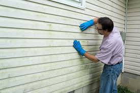 Best Siding Painting and Refinishing  in Lemmon, SD